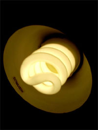 Енергосберігаючі лампи при однаковій свтловіддачі споживають в 5 разів менше електроенергії