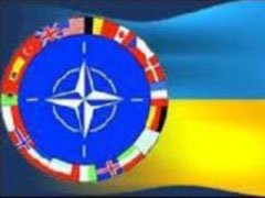 Україна входитиме у відчинені двері НАТО багато років