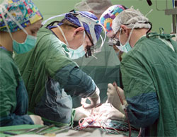 Відкриття українських кардіологів