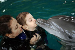 Дельфіни лікують дітей