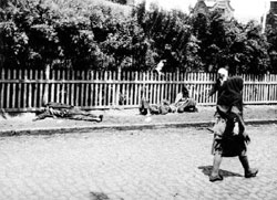 Юридична комісія ПАРЄ запропонувала визнати Голодомор геноцидом українців