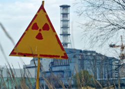Відлуння Чорнобиля. У Німеччині кабани заражені радіацією