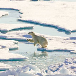 Потепління в Арктиці спричинить похолодання в Європі