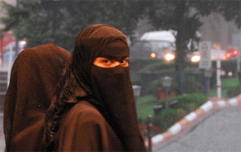 Нижня палата федерального парламенту Бельгії в травні цього року проголосувала за заборону по всій країні на носіння жіночого традиційного мусульманського вбрання - паранджі і нікаба