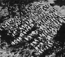 У 1943 році німецька армія поблизу Катині виявила масове поховання близько 15000 польських офіцерів 