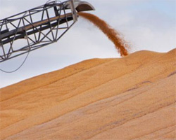 Американці констатували монополізацію українського ринку зерна