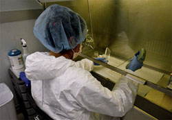 Учені відкрили антитіла, здатні перемогти всі різновиди грипу типу А
