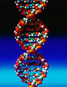 Вчені знайшли спосіб прискорити процес «зчитування» ДНК у десятки разів
