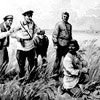 Голодомор 1932-33 рр. має психологічні наслідки для сучасних українців