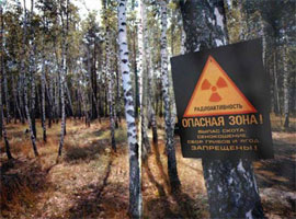 Уряд пропонує українцям їсти “чорнобильські” продукти?