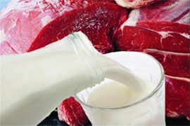 Чи загрожує Україні м’ясо-молочний колапс?
