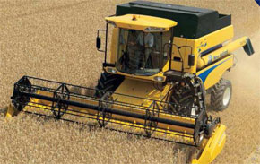 Урожайність зернових в Україні в рази нижча від європейських показників