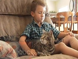 У США кішка врятувала дитину від нападу сусідського собаки
