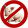 За образу Рогозіна Румунія “сплатить” свинями