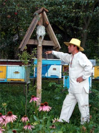 На пасіці живе 20 бджолиних сімей
