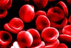 Кров людська - не водиця, або Загадки груп крові