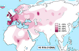 Гаплогрупа R1b найбільш поширена в Західній Європі