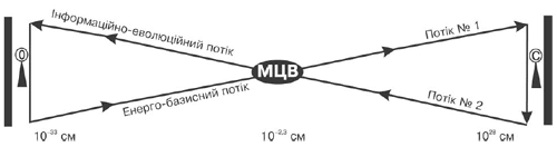 Схема 8. Два зустрічних потоки енергії та інформації (Сухонос 2000:233) 