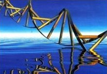 Жорстокість передається спадково 