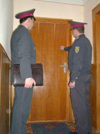 Цушки ніяк не вгамуються із стільцем для Мороза Цушки ніяк не вгамуються із стільцем для Мороза