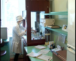 Свинячий грип. Наскільки реальна загроза?
