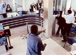 Медведька дістали грабіжники та нехлюйство банкірів Медведька дістали грабіжники та нехлюйство банкірів