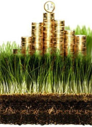 Кому проФФесіонали планують продавати землю Кому проФФесіонали планують продавати землю