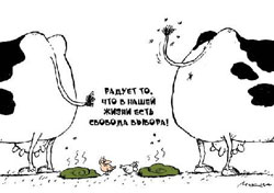 Парламент ухвалив закон про вибори. За сценарієм Банкової Парламент ухвалив закон про вибори. За сценарієм Банкової