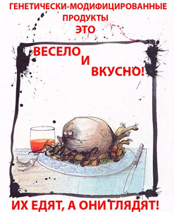 Вчені встановили, ГМО-кукурудза спричиняє злоякісні пухлини