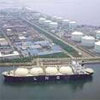 Імітація активності. “LNG-термінал”: зменшення енергозалежності чи “Одеса-Броди-2”?