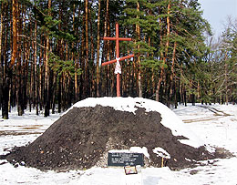 Пам`ятний знак на честь битви січових стрільців проти війська Скоропадського